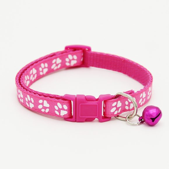 The pet cat wears a bell collar - Image 10