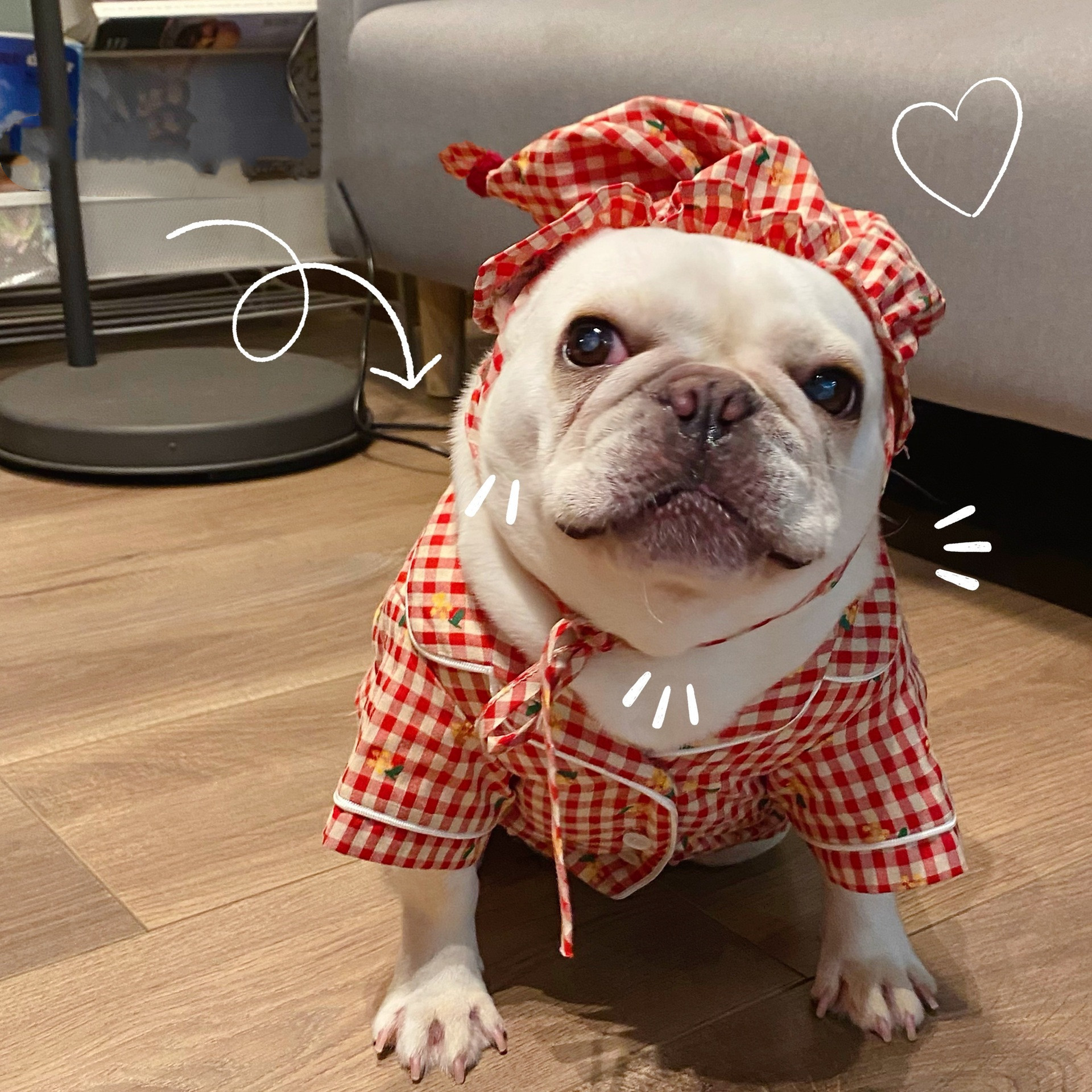 Pet Pajamas