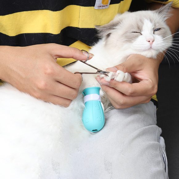 Adjustable Cat Foot Claw Cover Anti-Scratch Prickly Nail Glove Cat Boots For Cats Only, Anti-Scratch Cat Feet Claw Covers Adjustable Prickly Anti-Off Shoes Nail Glove - Image 9