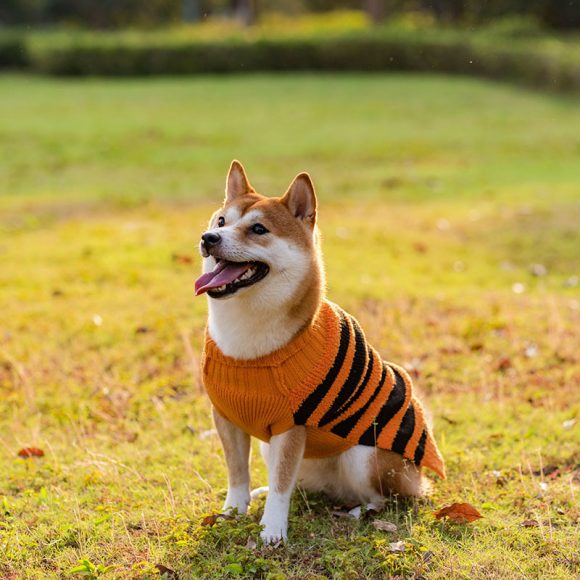 Halloween Dog Sweaters Pet Costume Teddy Warm Leisure Sweater Cosplay Clothes For Dogs Pets Outfits - Image 4