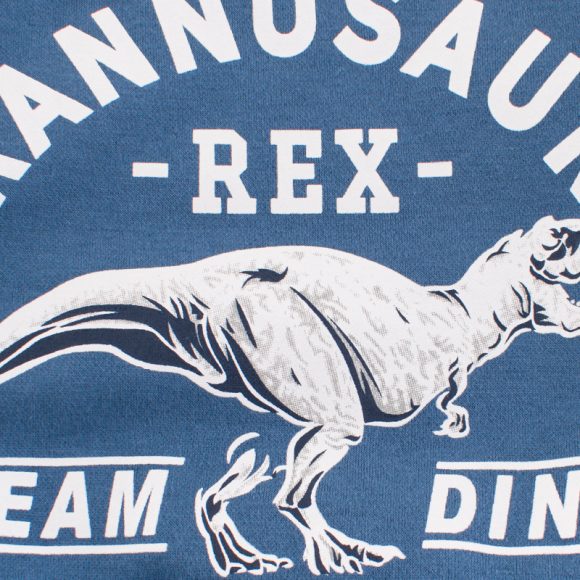 Children's dinosaur sweater - Image 3