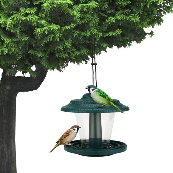 Plastic transparent bird feeder - Image 4
