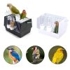 Out of the bird cage - Image 3