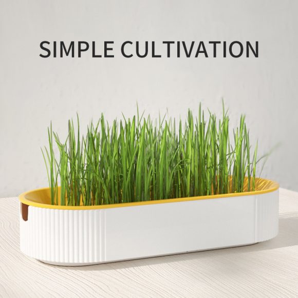 Hydroponic Cat Grass Box Plastic Tray Cat Grass Growing Kit Cat Grass Planter Hydroponic Cat Grass Box Cat Grass Sprouter Tray Interactive Cat Toy Window Planter Soilless For Pet Cat Plastic Plant Pot - Image 4