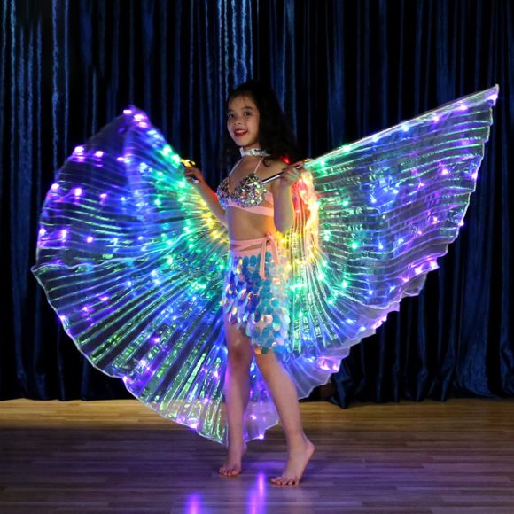 LED light wings - Image 5