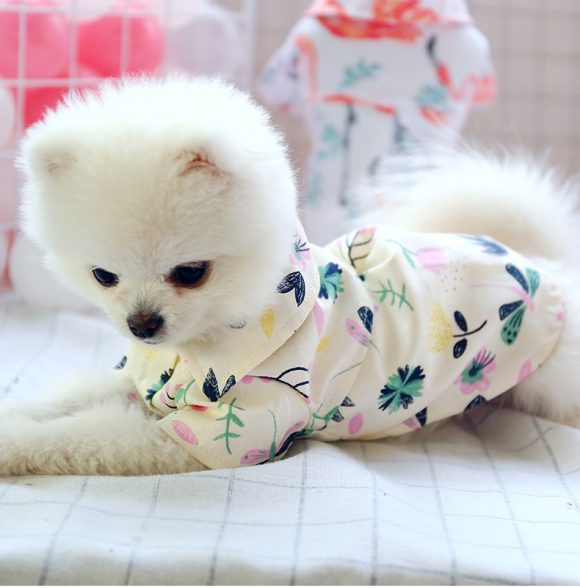 Small dog than the bear pomei thin summer cute shirt - Image 2