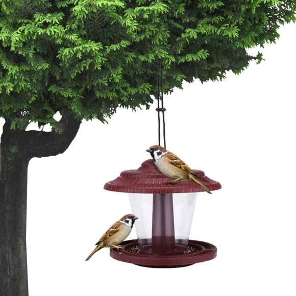 Plastic transparent bird feeder - Image 3