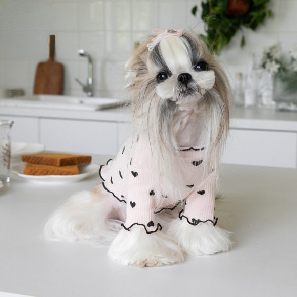 Home Vest Dog Cat New Year Christmas Dress - Image 2