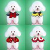 Pet collar - Image 5