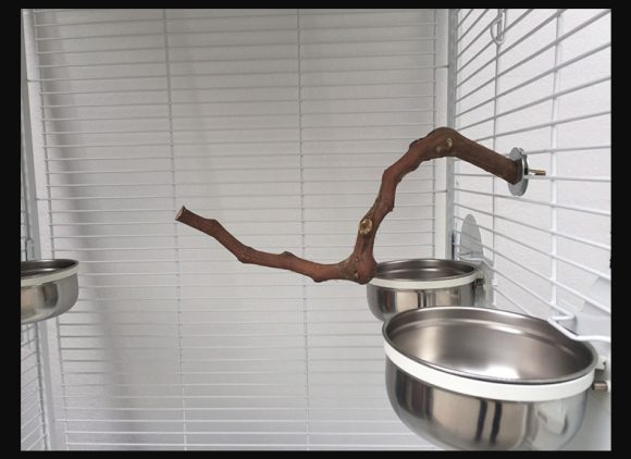 Add a stand pole to the cage for parrot birds - Image 7