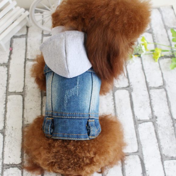 Designer Dog Clothes Small Dog Denim Jacket Coat Cat Costume Puppy Jeans Vest Spring Clothing - Image 5