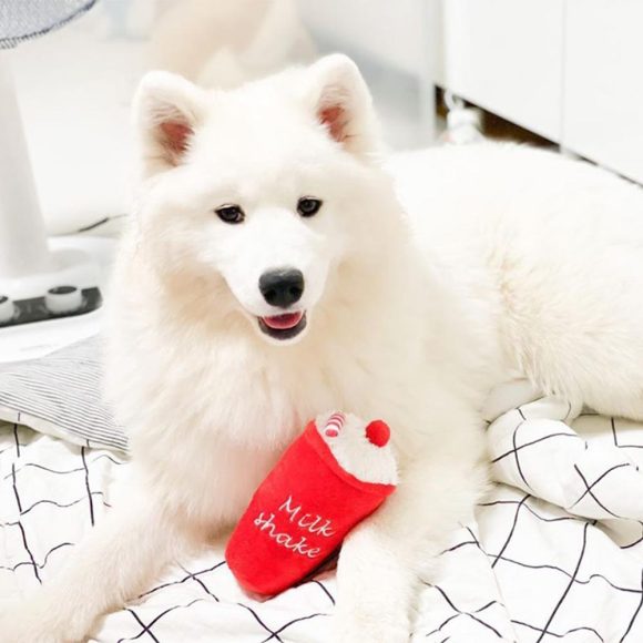 Pet plush toys - Image 4