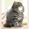 Pet Comb Self Cleaning Pets Hair Remover Brush For Dogs Grooming Tools Dematting Comb Built-in Mist Humidifier Pet Products - Image 7