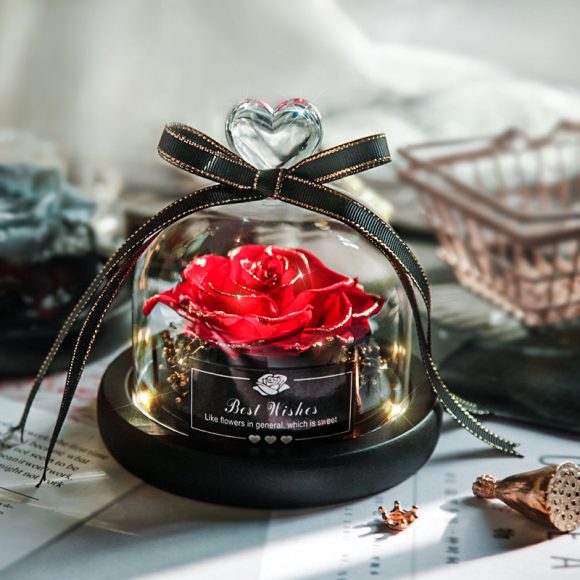 Valentine's Day Christmas Dried Flowers For Home Decor Wedding Gifts Dried Flowers Eternal Real Rose Home Decor With LED In Glass - Image 9