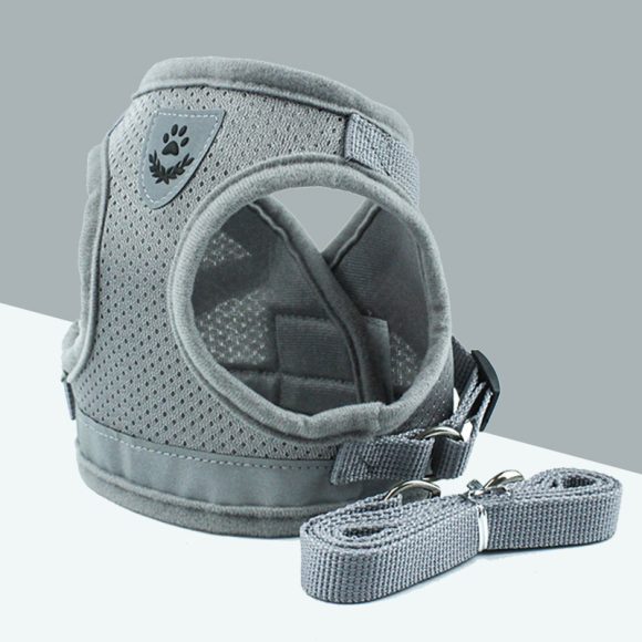 Pet Leash Breathable Mesh Chest Back - Image 10