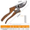 Pruning fruit trees pruning branches garden scissors