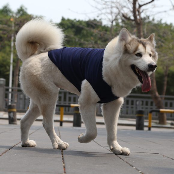 XS-5XL Dog Vest Dog Shirt Summer Small Medium Dog Clothes Chihuahua Tshirt - Image 10