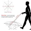 Dog's Transparent Umbrella With Traction Chain Removable Umbrella Pet Products - Image 5