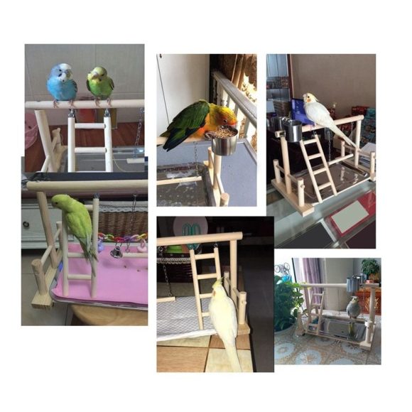 Wooden Small Cockatiel Floor Parrot Standing Stand - Image 6