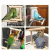 Bird stand with mirror - Image 6