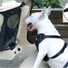 Pet car fence car rear seat screen anti-dog harassment explosion safety barrier - Image 6