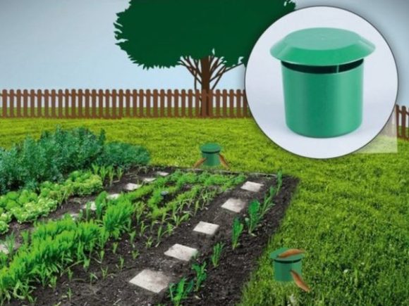 Garden Vegetable Garden Snail Trap - Image 4