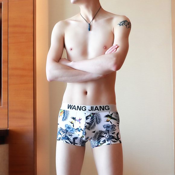 Men's Underwear Boxer Summer Ice Silk - Image 2