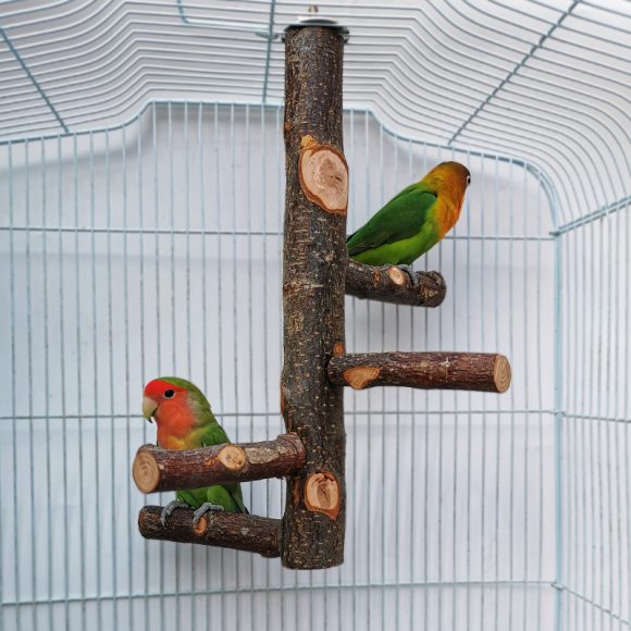 Parrot Bird Wood Stand Pole Toy - Image 3