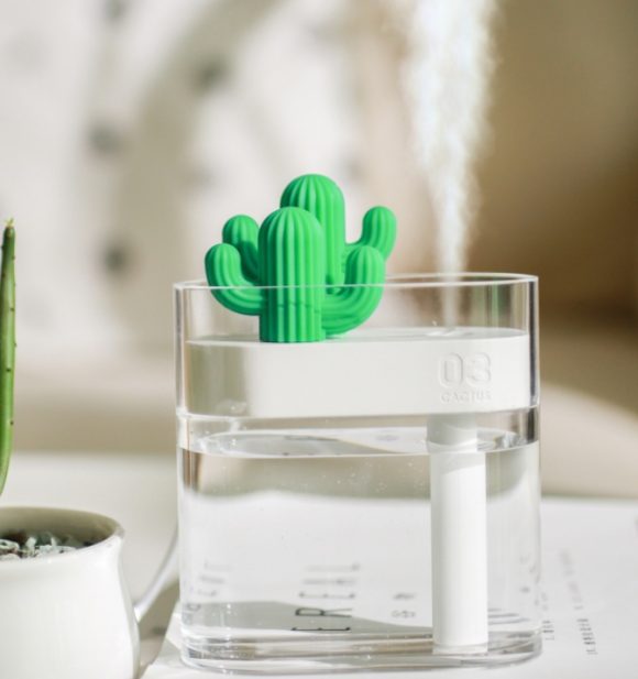 Transparent Landscape Cactus Portable Humidifier - Image 4
