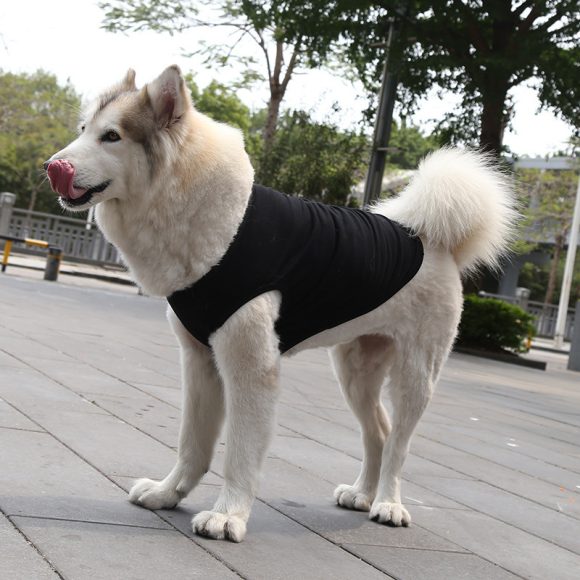 XS-5XL Dog Vest Dog Shirt Summer Small Medium Dog Clothes Chihuahua Tshirt - Image 5