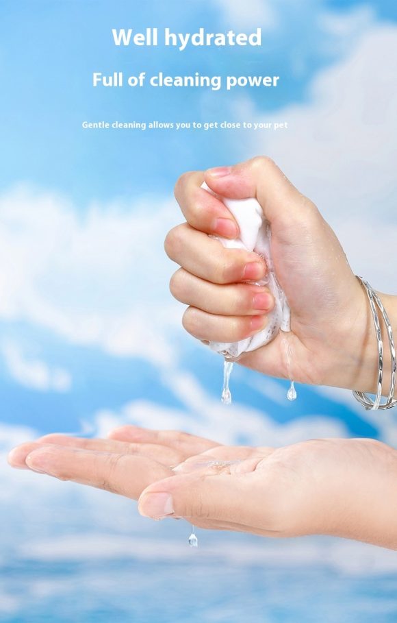 Dry Cleaning Disinfecting Paper Deodorant Pet Supplies Pet Disposable Gloves - Image 9