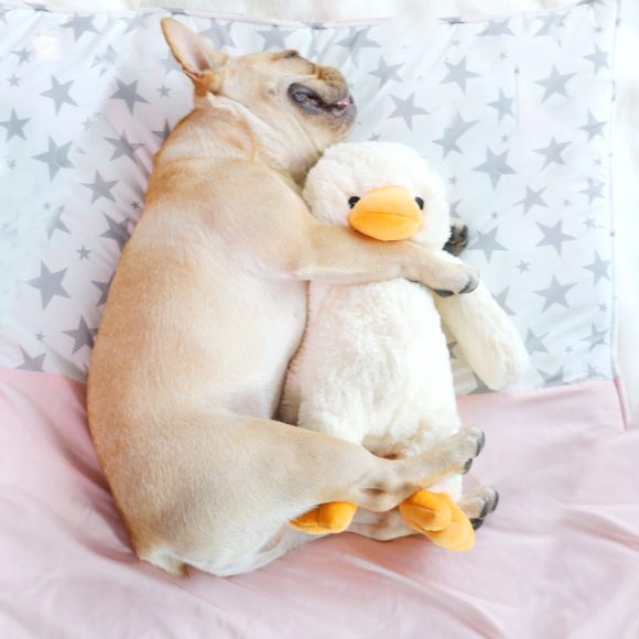 Pet Supplies Dog Plush Toys - Image 4