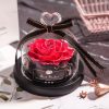 Valentine's Day Christmas Dried Flowers For Home Decor Wedding Gifts Dried Flowers Eternal Real Rose Home Decor With LED In Glass - Image 2