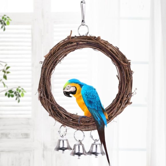 Parrot swing - Image 3