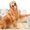 Pet electric foot washer - Image 4