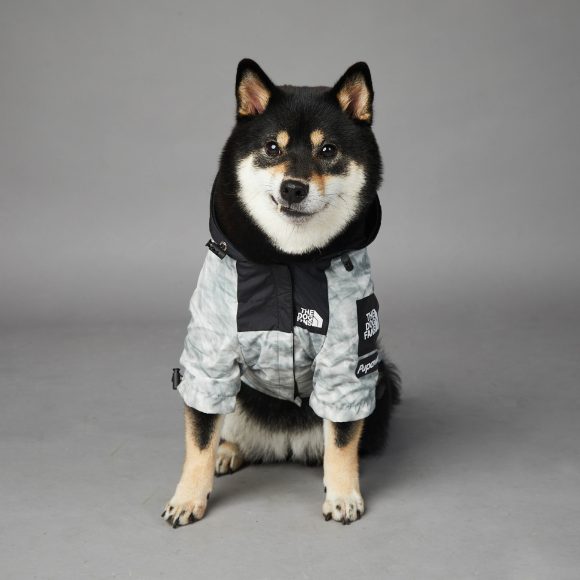 Dog Noodles New Dog Large Dog Dog Pet Shell Jacket - Image 9