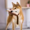 Pet Relaxing Plush Sounding Toys - Image 4