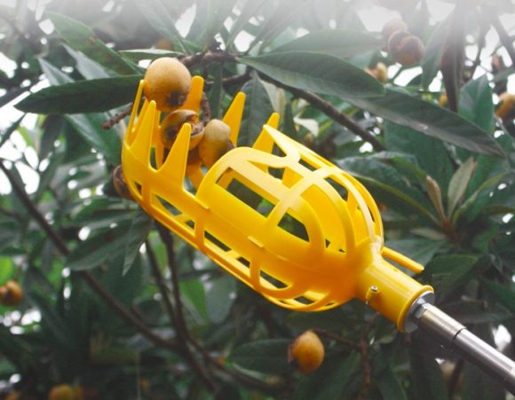 Metal fruit picker Agricultural garden hardware tools Fruit picker / picking fruit tools - Image 7