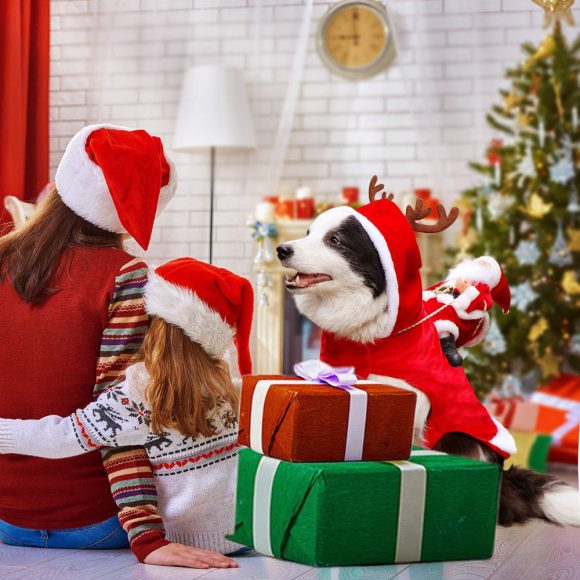 Dog Christmas Clothes Santa Claus Riding Deer - Image 9