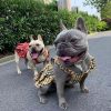 Pet clothing suspender skirt suit - Image 6
