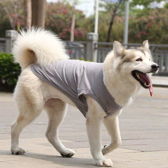 XS-5XL Dog Vest Dog Shirt Summer Small Medium Dog Clothes Chihuahua Tshirt - Image 3