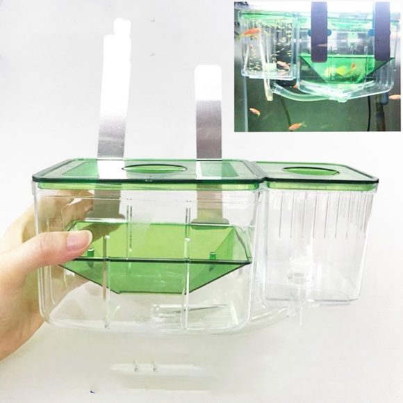 Hatching box guppy sick fish isolation box fighting fish - Image 5