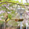 Acrylic Bird Food Box - Image 3