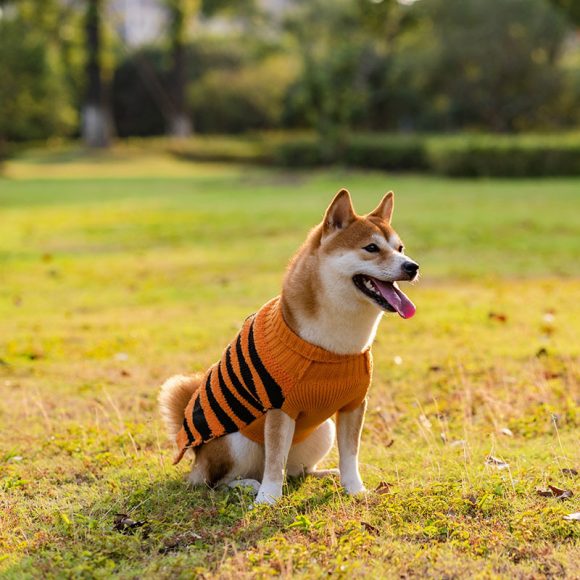 Halloween Dog Sweaters Pet Costume Teddy Warm Leisure Sweater Cosplay Clothes For Dogs Pets Outfits - Image 7