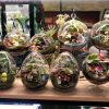Hanging transparent glass vase container - Image 2