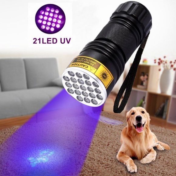 21LED violet flashlight LED violet UV UV Flashlight counterfeit flashlight - Image 5