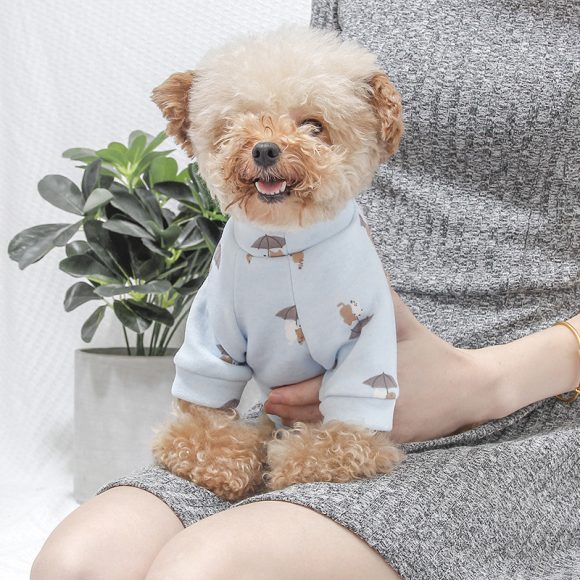 Dog clothes - Image 4
