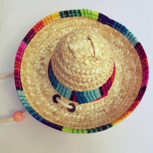 Pet Supplies Straw Woven Mini Pet Dog Straw Hat Pet Mexican Straw Hat Pet Cat Sun Hat - Image 5