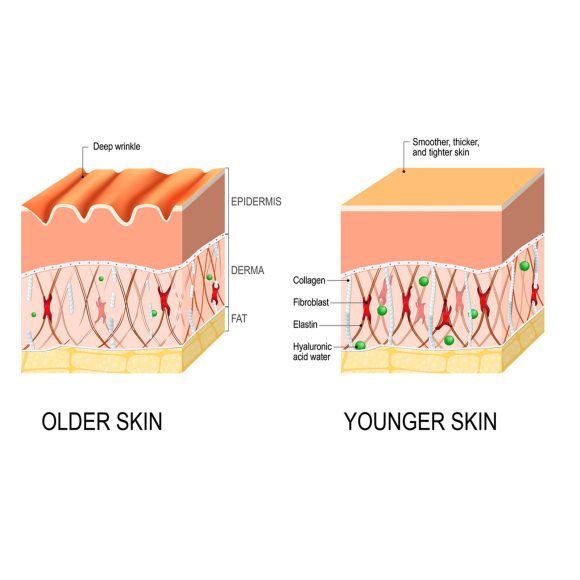 Anti-wrinkle  Fine Line-fading Lifting And Firming Skin Care - Image 7