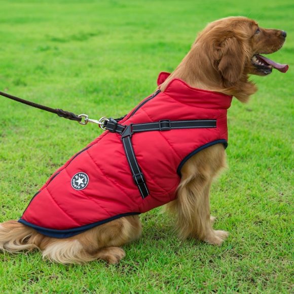 Pet Dog Clothes For Small Dogs Winter Warm Dog Hooded Coat Jackets Chihuahua Pug Outfits Puppy Cat Clothing - Image 3